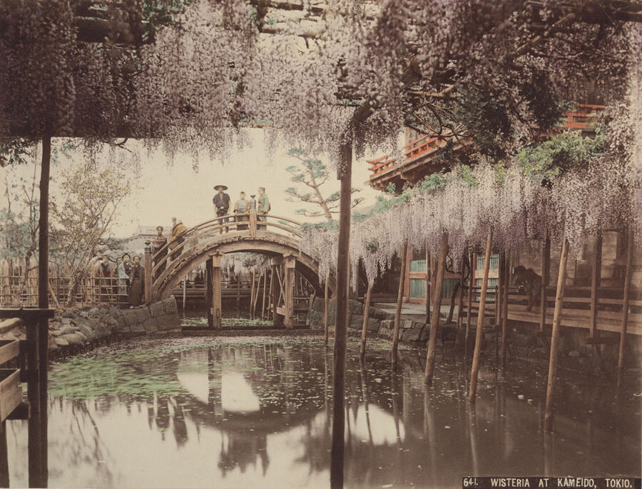 oe_type-visual_journeys-5
