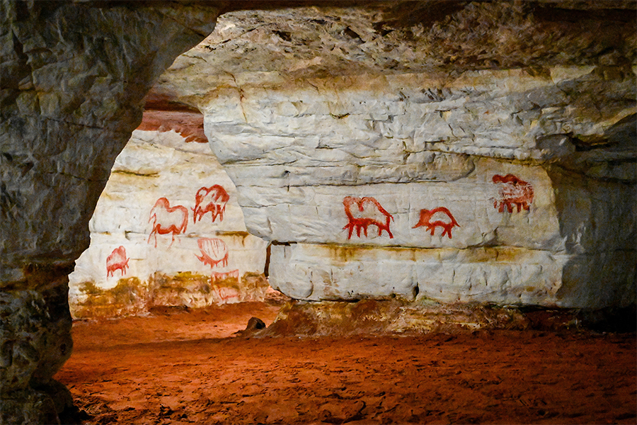 paleolithic cave art.