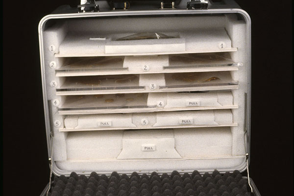 Side view of packed handcarry