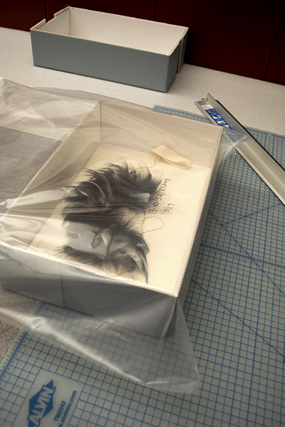 Moth Mitigation | Peabody Museum of Archaeology & Ethnology