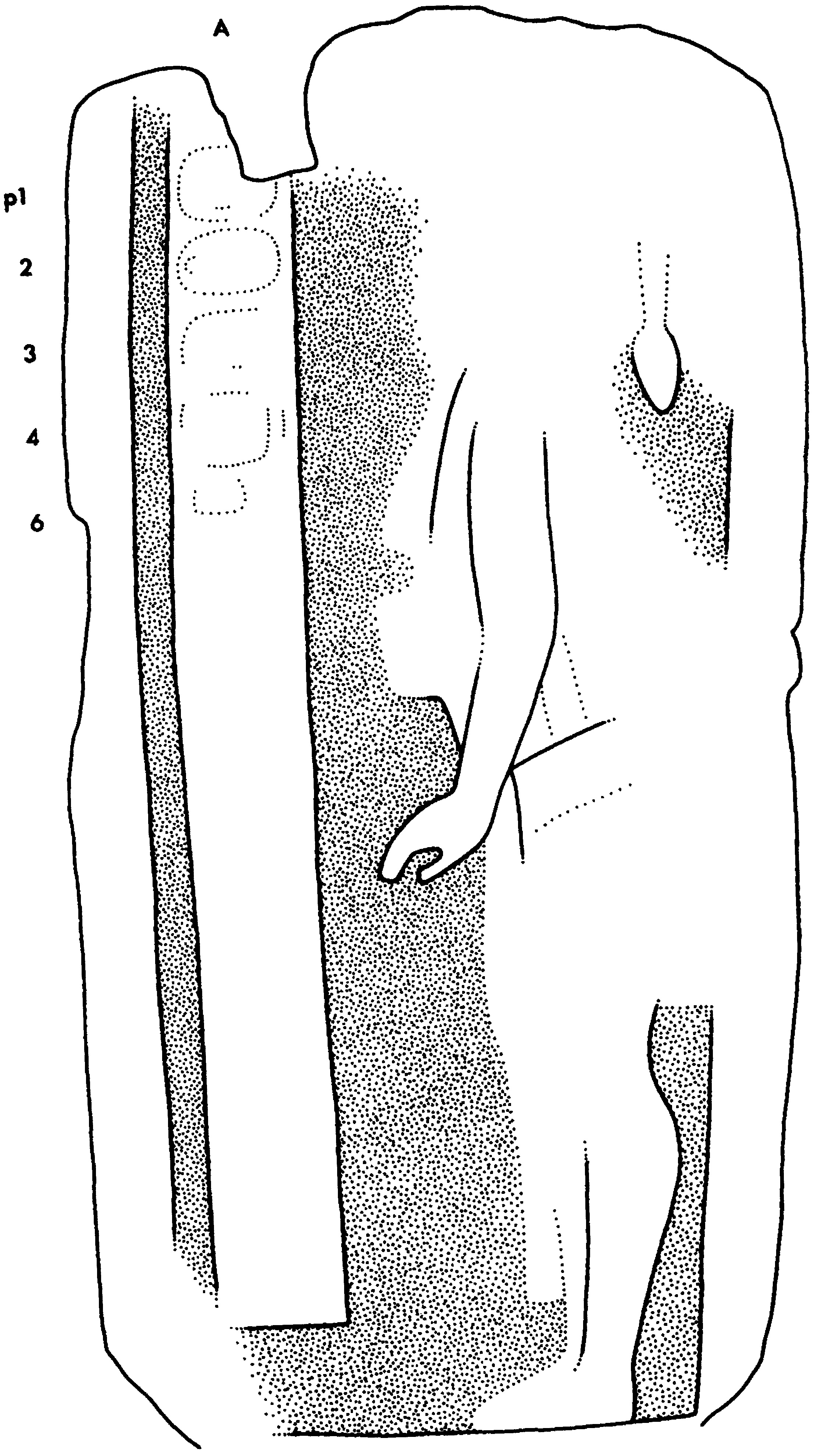 Drawing of Coba, Stela 13, front