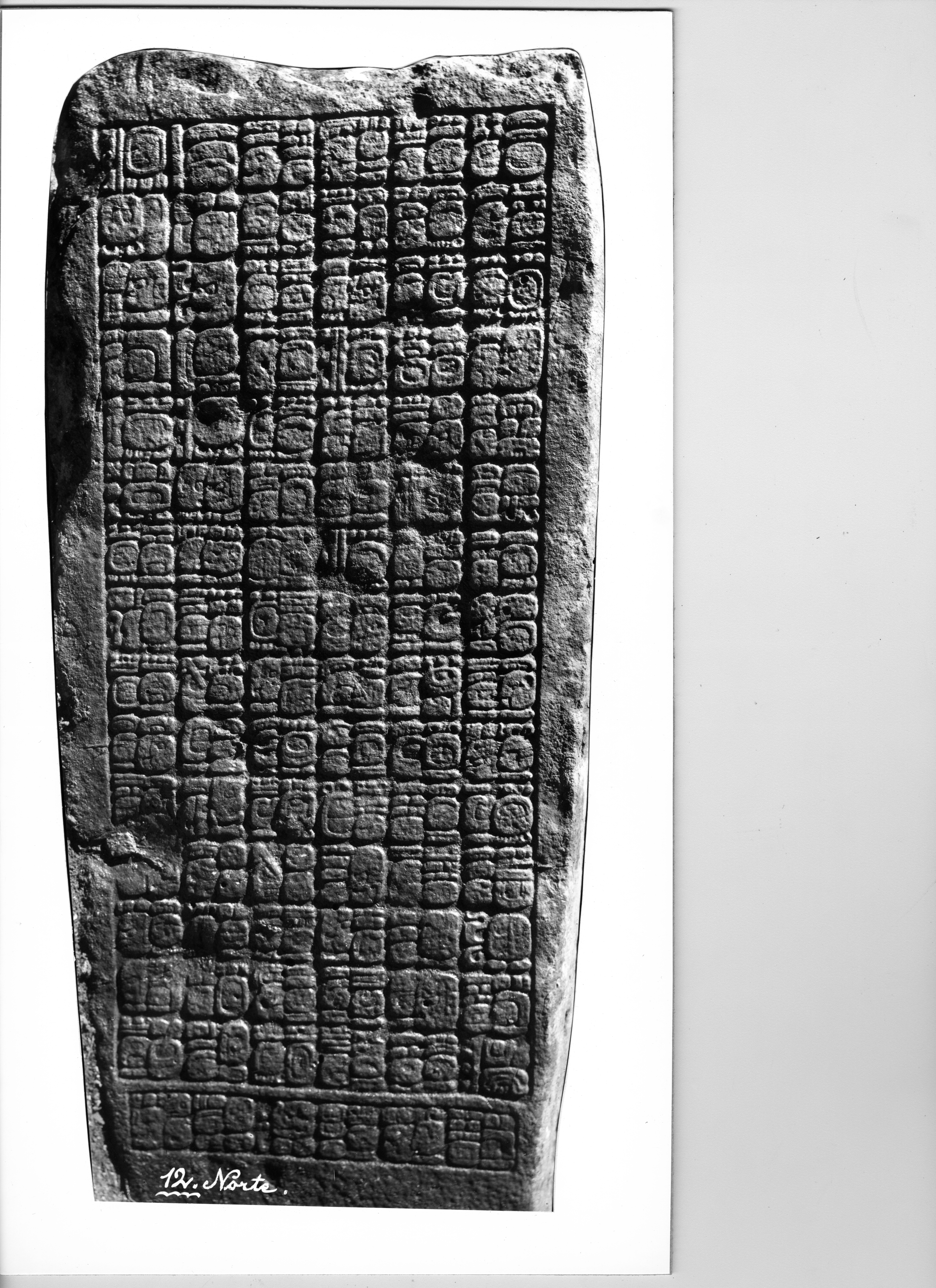 Photo of Naranjo, Stela 12, back, 2004.15.5.2.21