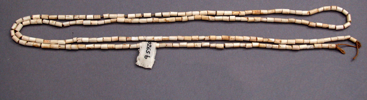 wampum shell beads