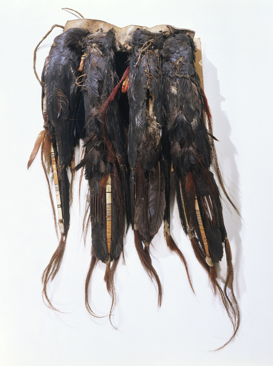 This Dakota or Lakota raven belt, woven by the leader of a men's war society, may be the earliest surviving plains feather bustle in any museum collection. It is one of three such belts in the Lewis and Clark collection.