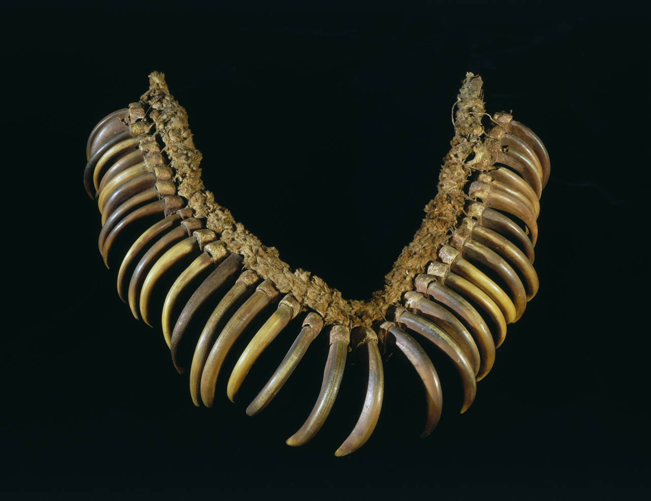 bear claw necklace