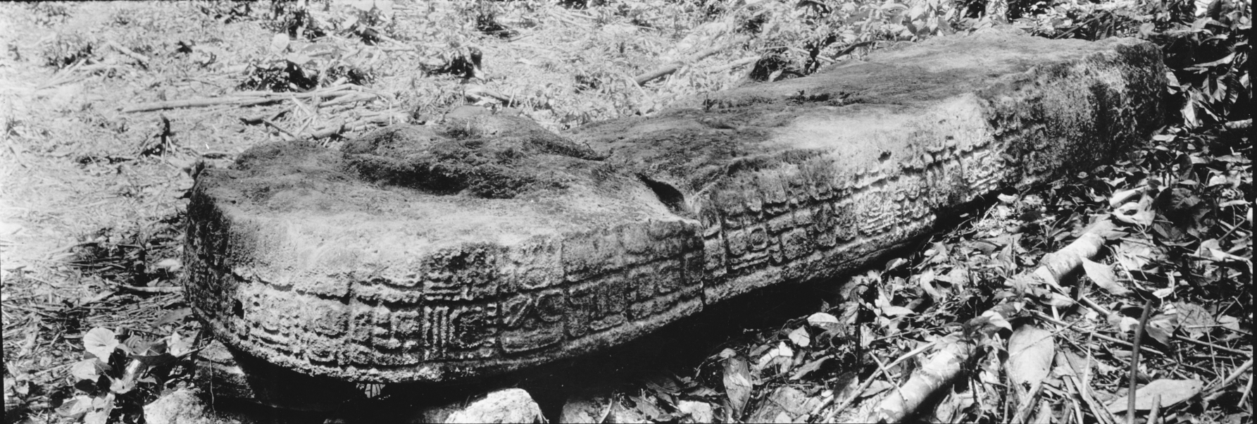 Photo of Piedras Negras, Stela 7, right oblique, 2004.15.15.2.515