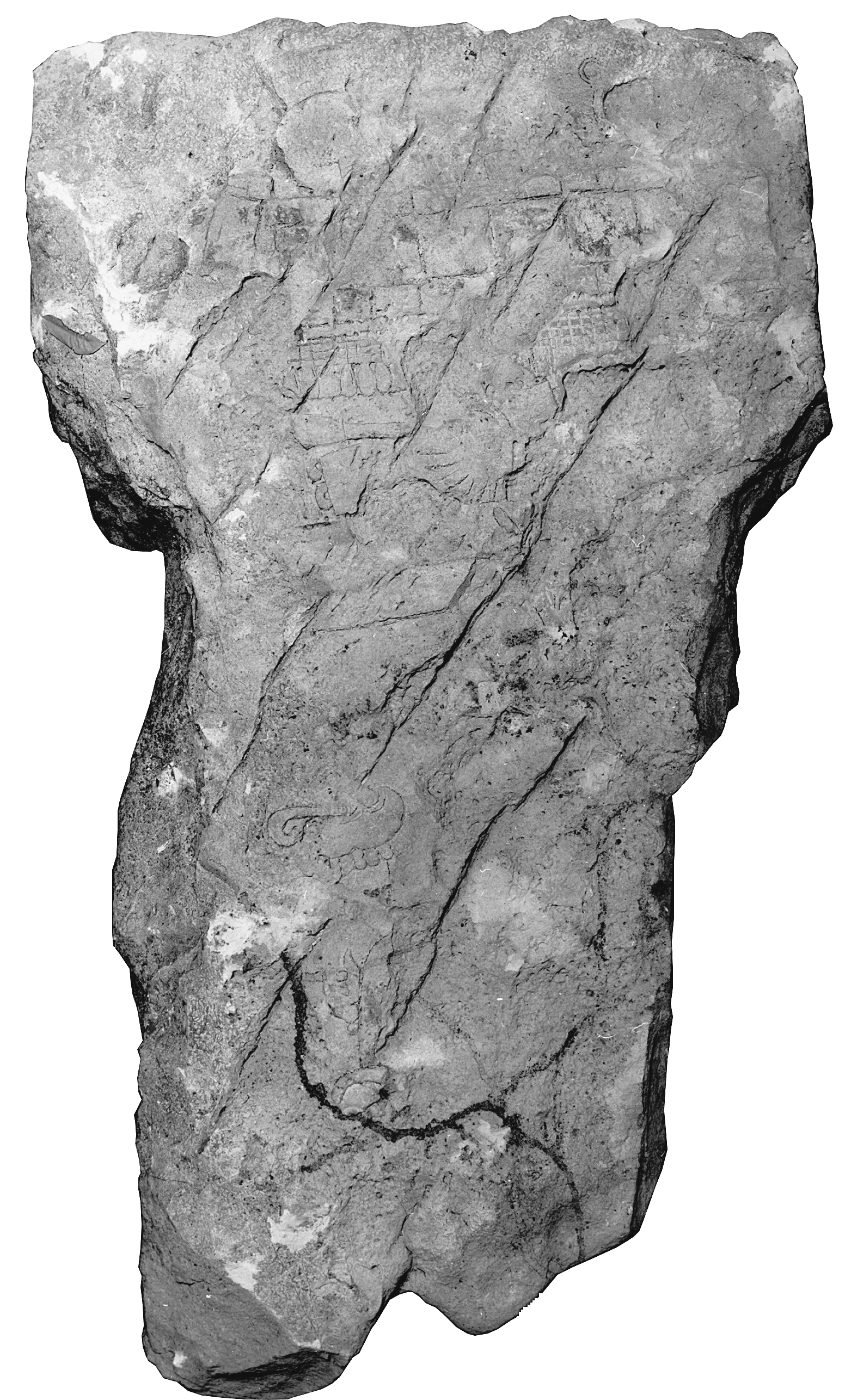 Photo of Piedras Negras, Stela 8, back, 2004.15.15.2.517
