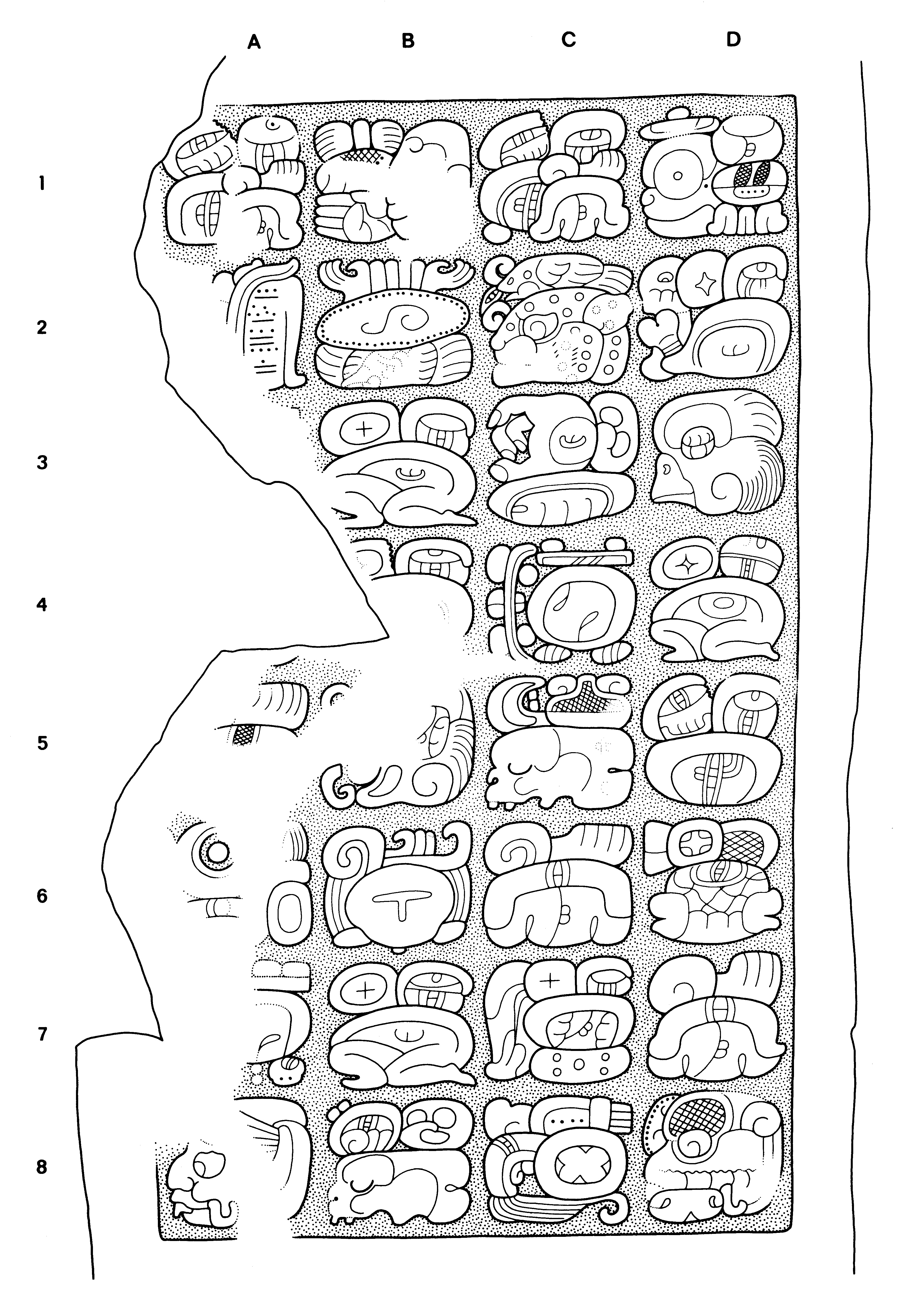 Drawing of Yaxchilan, Lintel 49, underside, 2004.15.5.6.29