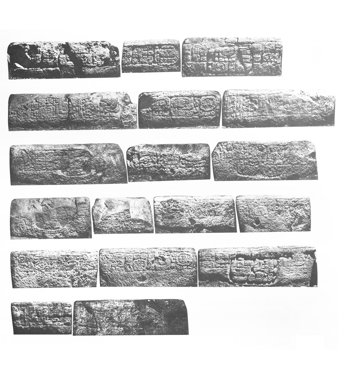 Photo of Yaxchilan Stairway 1, Step 2