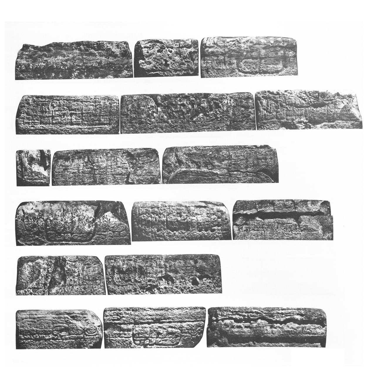 Photo of Yaxchilan Stairway 1, Step 4