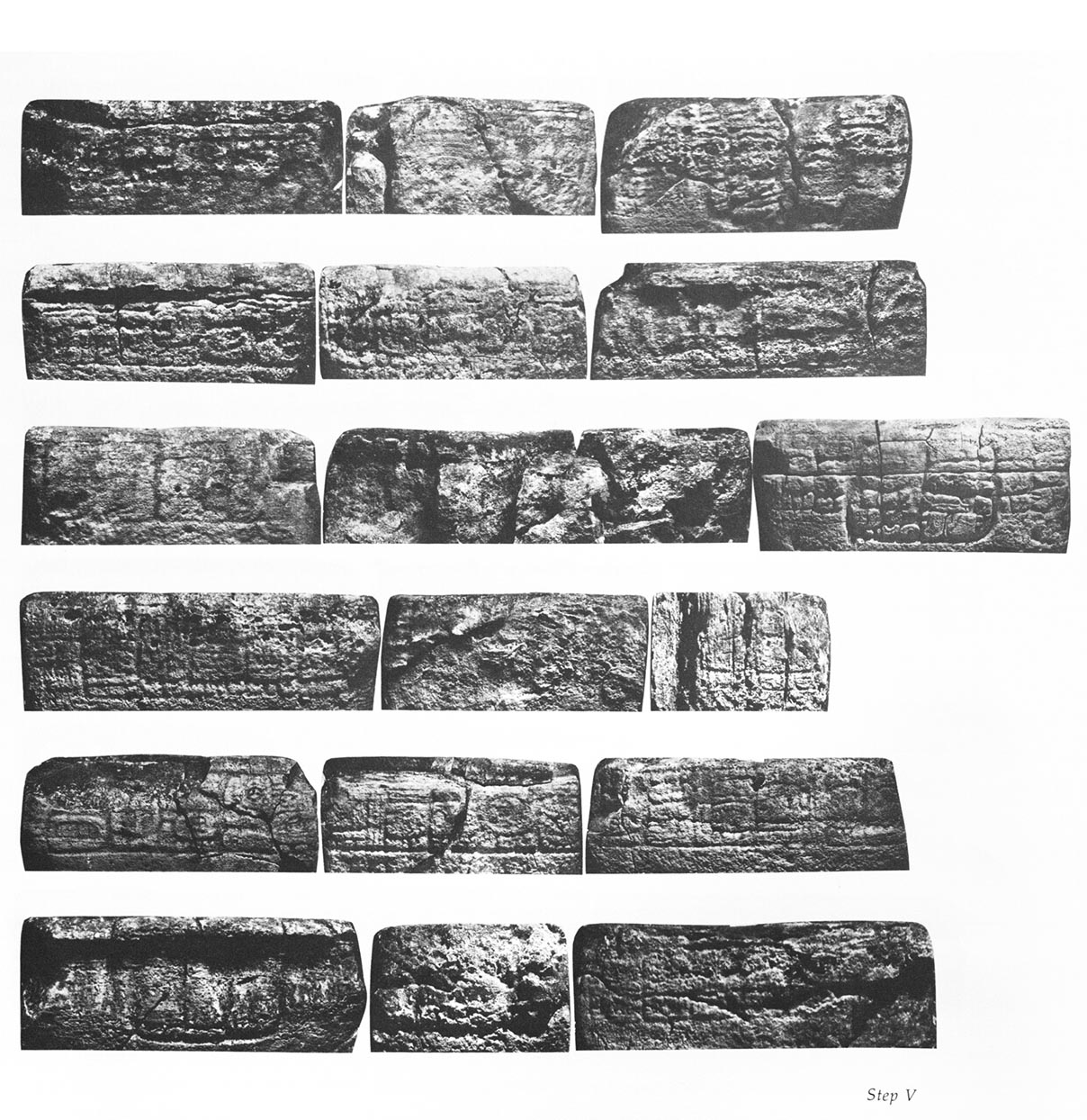 Photo of Yaxchilan Stairway 1, Step 5