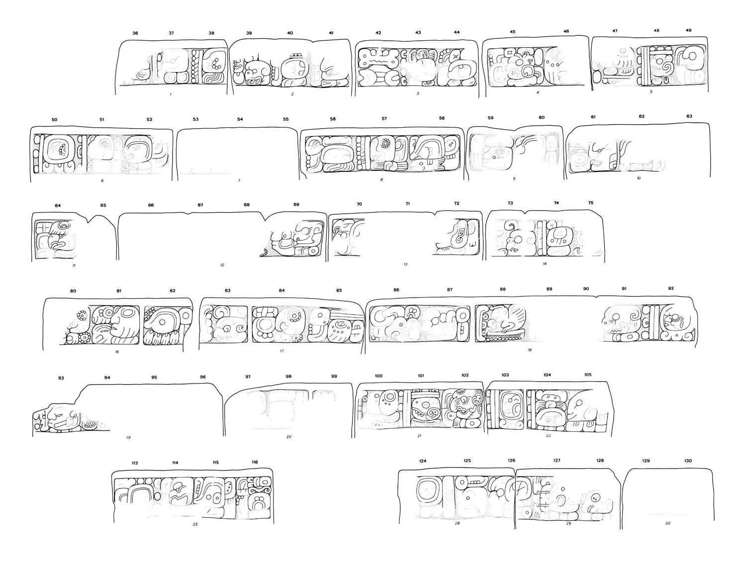 Drawing of Yaxchilan Stairway 5, Blocks 36 thru 130