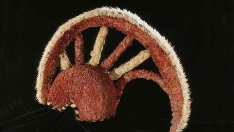 A crested helmet is inlaid with red feathers and white feathers highlighting its crest.