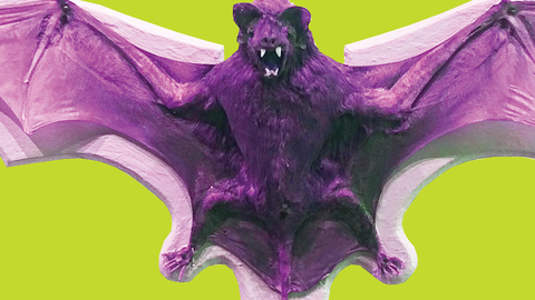 bat with its wings spread.