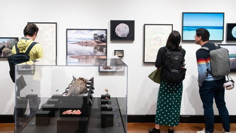 group of people in gallery.