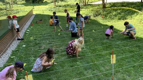 children look closely in marked grassy lanes outside.