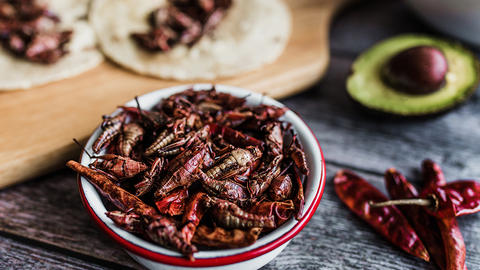 edible insects in a serving bowl.
