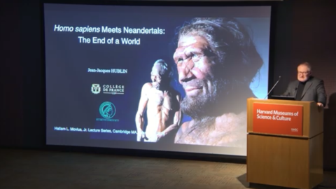neanderthal and speaker at podium.