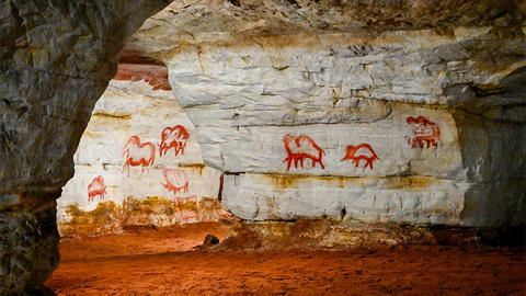 paleolithic cave art.