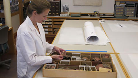 Tray of ceramics being analyzed.