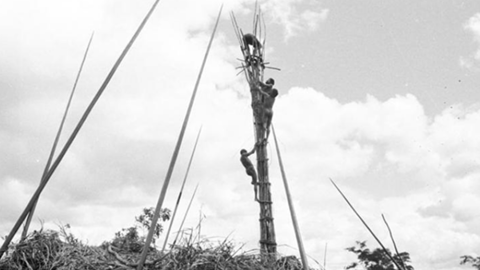 person in dani watchtower.