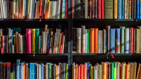 Books on a library