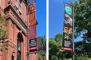 exterior views of Peabody Museum banner and building and Harvard Museum of Natural History banner.