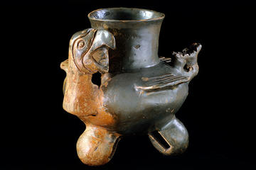 plumbate war jar with parrot.