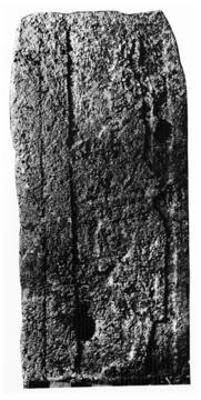 Photo of Coba, Stela 17, front