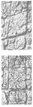 photography of carved surfaces