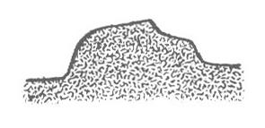 alternate cross section of glyph