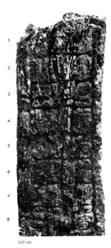 Photo of La Honradez, Stela 7, left, 2004.15.5.12.36