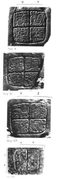 Photo of Naranjo, Hieroglyphic Staircase, steps 10 through 13