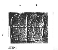 Photo of Naranjo, Hieroglyphic Staircase, step 1