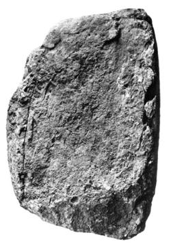Photo of Naranjo, Stela 15, front, 2004.15.5.2.26