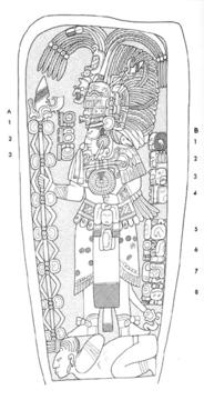 Drawing of Naranjo, Stela 8, front