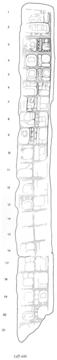 Drawing of Piedras Negras, Stela 5, left, 2004.15.6.19.15