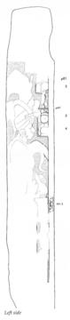 Drawing of Piedras Negras, Stela 6, left, 2004.15.6.19.18