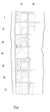 Drawing of Piedras Negras, Stela 7, top, 2004.15.6.19.22