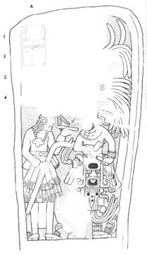 Drawing of Seibal, Stela 17, front, 2004.15.6.17.17