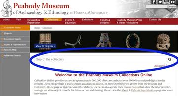 A screenshot of the online collections home page with a blue circle around the search toolbar.