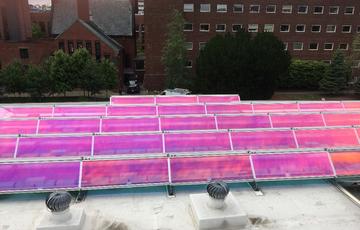 Rows of solar panels on the roof of a building. They shine in iridescent purple.