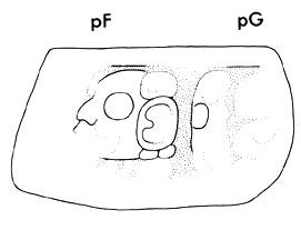 Drawing of Tonina, Monument 17, side 3