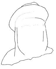Drawing of Tonina, Monument 19, front, 2004.15.6.14.37