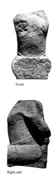 Photo of Tonina, Monument 39, front (2004.15.5.15.38) and right (2004.15.5.15.39)