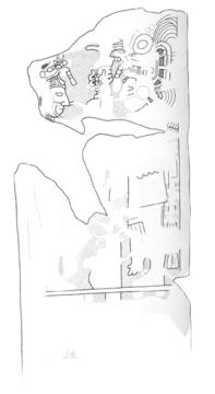 Drawing of Tzum, Stela 4