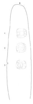 Drawing of Uaxactun, Stela 6, left, 2004.15.6.13.13