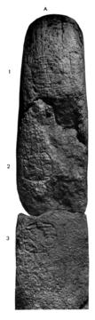 Photo of Uaxactun, Stela 6, right, 2004.15.5.13.19
