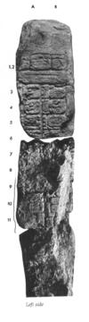 Photo of Uaxactun, Stela 7, left, 2004.15.5.13.22
