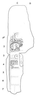 Drawing of Uaxactun, Stela 7, right, 2004.15.6.13.16